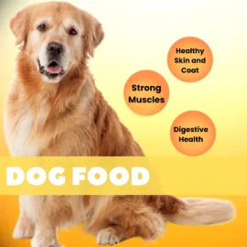 food dogs BANNER 1