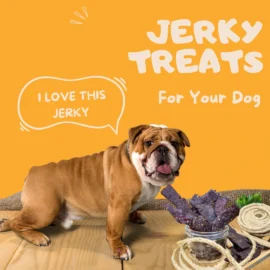 jerky-treats-dogs