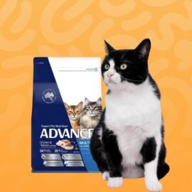 pet cat food