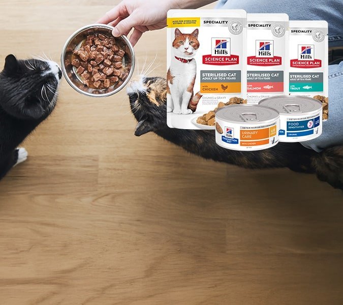 pt banner cat 4 opt 1