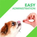 Absolute Mobility Tablets