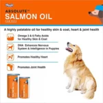 Absolute Salmon Oil