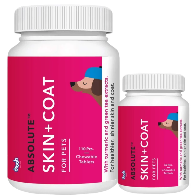 Absolute Skin + Coat