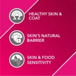 Absolute Skin + Coat