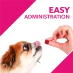 Absolute Skin + Coat