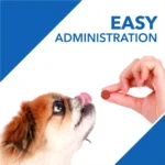 Absolute Vitamin Tablets