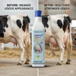 GOLDVIT Liquid Vitamin Supplement – Udder Growth & Vitality Support for Cattle, Buffalo, Sheep, Goats, Dogs and Cats - Image 7