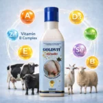 GOLDVIT